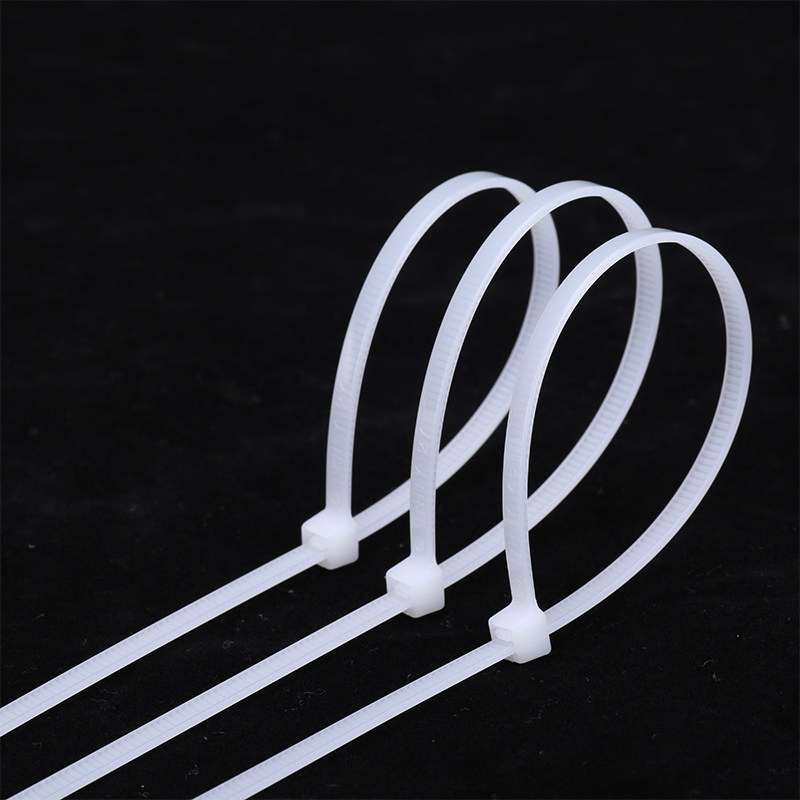 添翼国标3*100尼龙扎带卡扣塑料捆绑扎线带勒死狗绑绳固定整理器