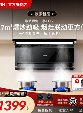 欧派(OPPEIN)烟灶套餐27m³抽油烟机大吸力猛火燃气灶煤气灶具