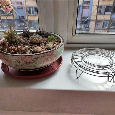 【5080人好评】简易花架不锈钢花盆架多肉君子兰客厅阳台花架子室