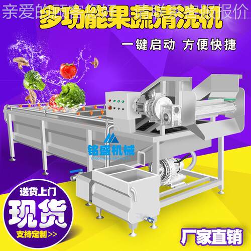饭店鬼子姜洗菜机 全自动铁皮石斛清洗机 喷淋式灵芝气泡清洗设备