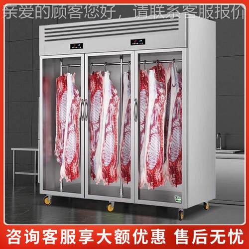 挂肉商用596柜立柜式牛羊肉藏展示柜熟成柜单双门鲜肉排酸冰冷保