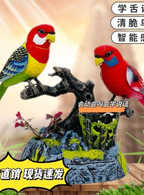 会叫会动会学说话新款声控小鸟