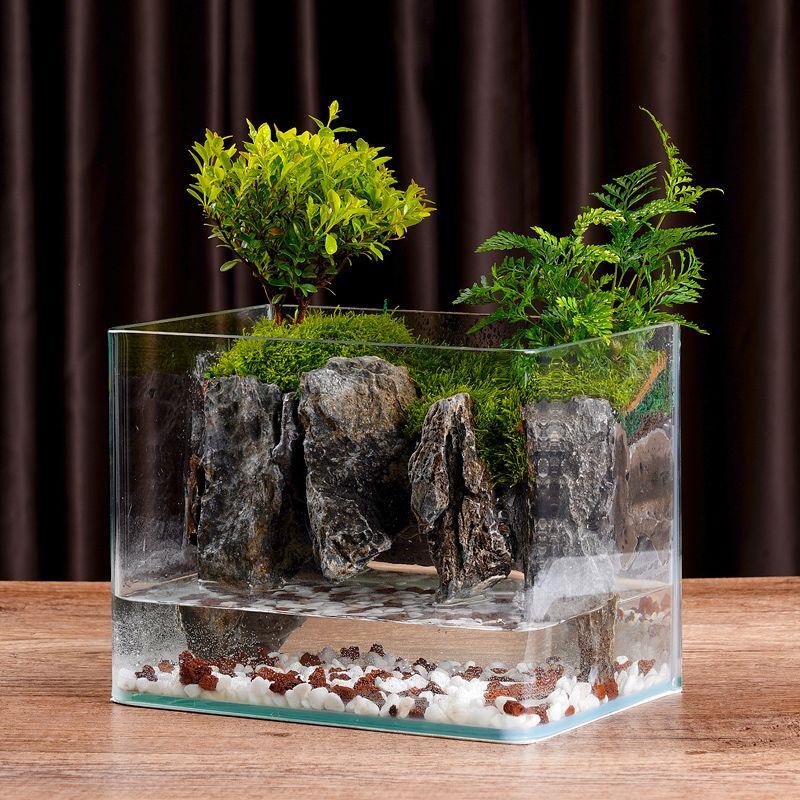 水陆缸造景全套苔藓微景