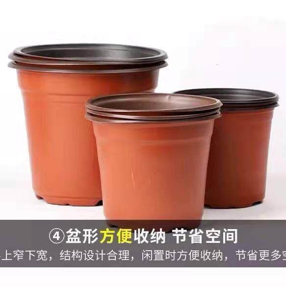 一次性育苗盆双色盆营养