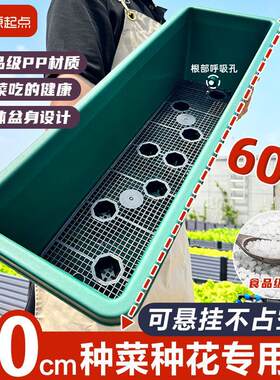 加厚60cm种菜盆长方形阳