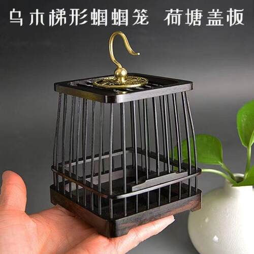 新品梯形蝈蝈笼2026子实