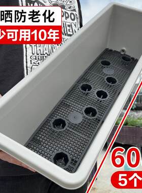 加厚60cm种菜盆长方形阳