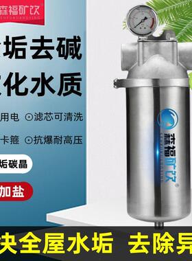 大流量全屋无盐软水机家