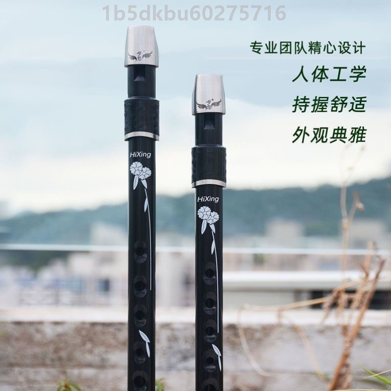 梦想哨笛:爱尔兰竖笛学生儿童成人初学入门6孔8孔六八孔专业乐器