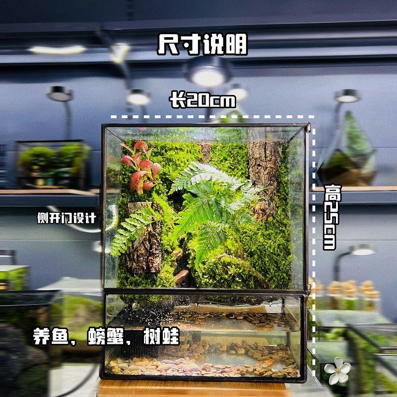 网红桌面养鱼款流水循环