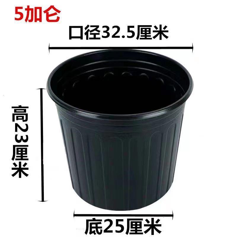 加厚双色盆育苗盆耐用扦