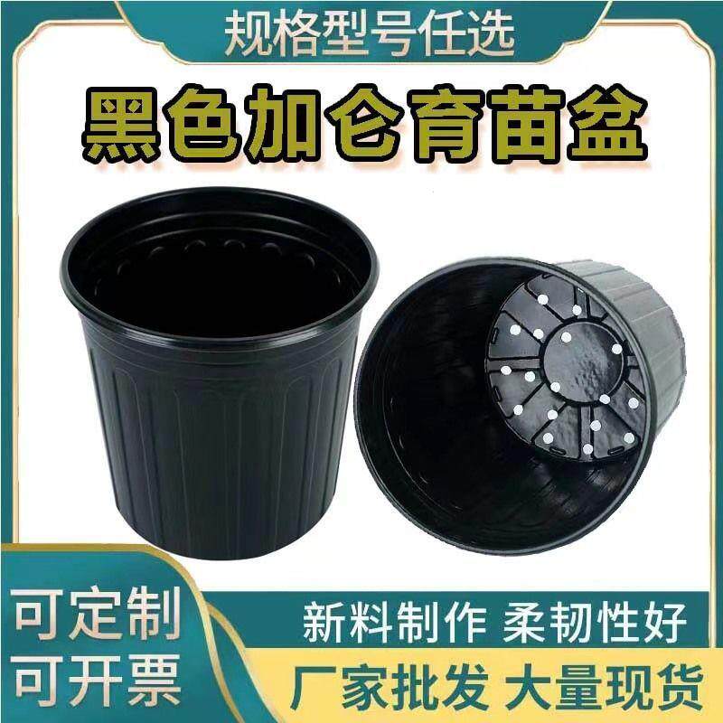 加厚黑色加仑盆大号软塑