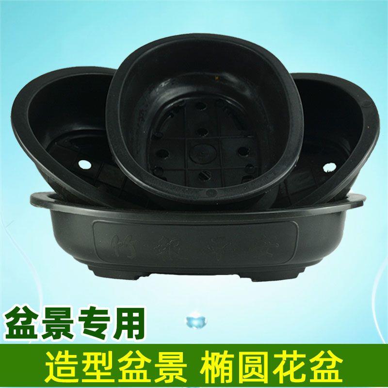 大口径椭圆盆景盆种菜塑