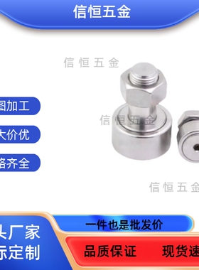 凸轮轴承随动器BPF 01 11 02 21 22-3 4 5 6 8 10 12 16 18 20 24