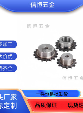 链轮SP40B26/28/30/32-N-18/19/20/22/24/25/28/30/32/35/40