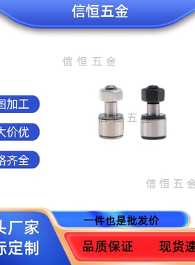 BPF21/22-d3-d4-d5-d6-d8-d10-d12-d20-d24-d30-PP凸轮轴承随动器