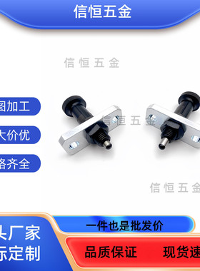 ZAB80/ZAB81FPXY/FPXR-8/8L/10/10L/12/12L/16/16L法兰型旋钮柱塞