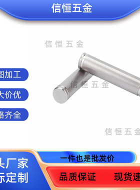 20MHC01/02E06/21/22/23/24/25/31/41/铰链销42-D3D4D5D6D8D10L30