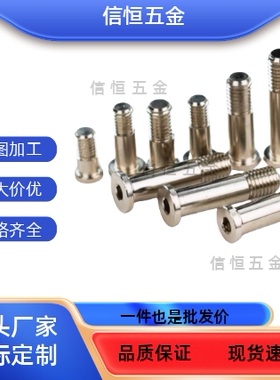 BGPW BGPMW BGPSW BKT51 BKT52 BKT56 肩型 轴承止动销 螺栓型