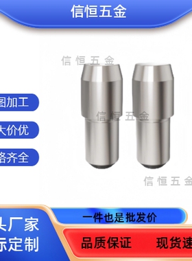 YBP05-D2 D3 D4 D5 D6 D8 D10-P3P4P5P6P8 P10台阶销菱形销定位销