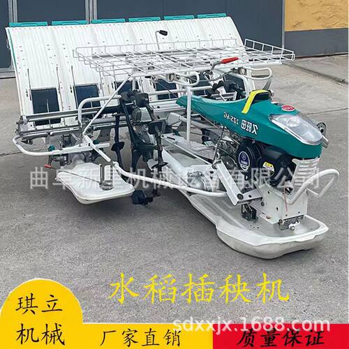 六行步进式手扶水稻插秧机 全自动汽油款栽苗育苗机 早稻晚稻种植