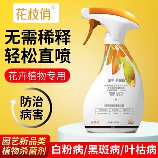 千百季花枝俏植物通用免稀释杀菌剂月季白粉病花药花卉除菌家用