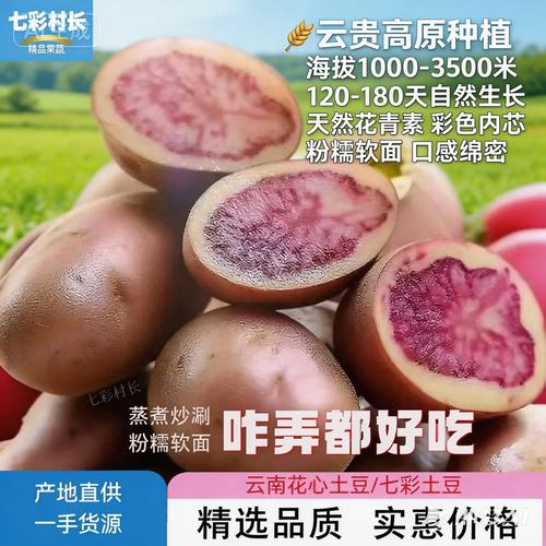 彩色云南土豆花青素高红皮花心火锅专用丽江七彩土豆产地直供