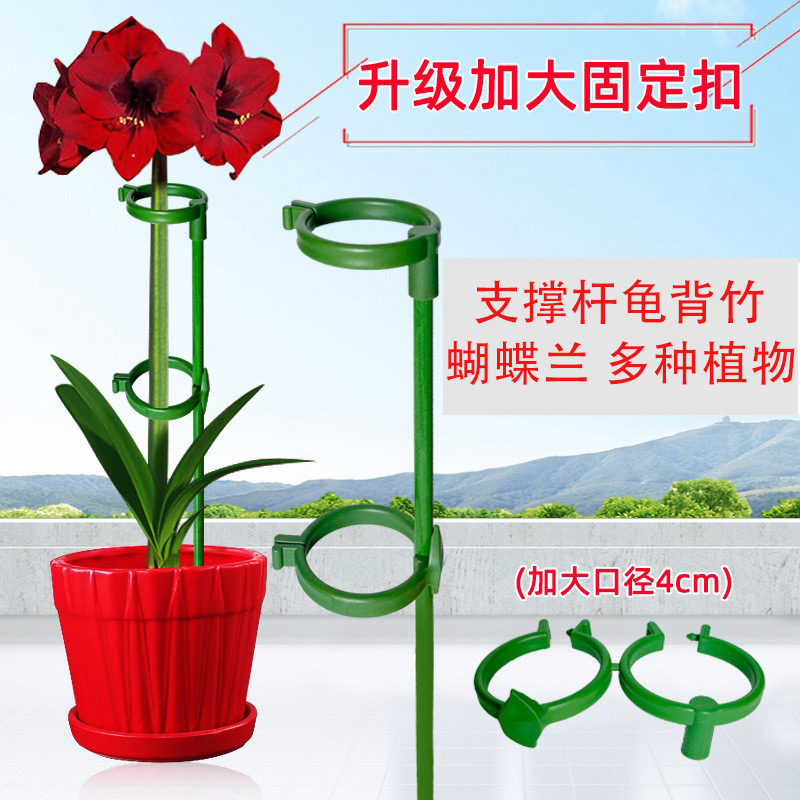 植物防倒伏固定花架子园艺支撑单杆室外花园月季爬藤种菜捆扎支架