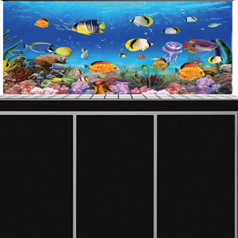 鱼缸背景纸画高清图3d立体壁纸海底世界海洋世界鱼缸背景