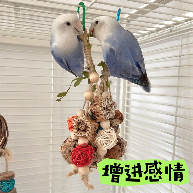 鹦鹉坚果藤球磨牙解闷啃咬玩具小鸟挂串秋千吊环鸟笼装饰用品用具