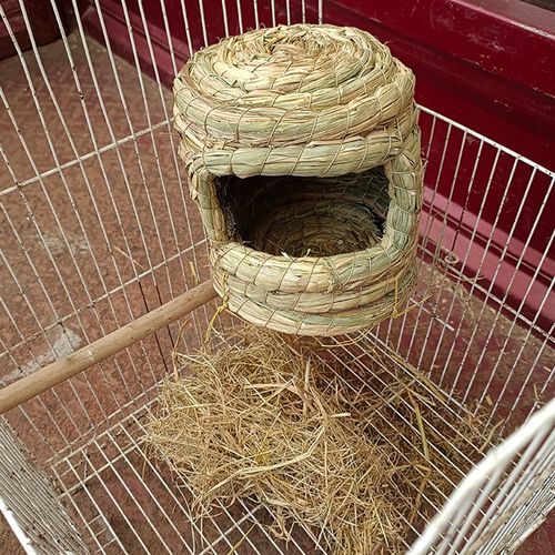 牡丹鹦鹉小窝繁殖孵化稻草爱情鸟窝夏天悬挂式小房子鸟巢保暖用品