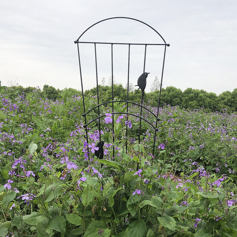 小鸟铁艺花园攀藤植物花艺架子月季花架铁线莲爬藤架支架户外庭院