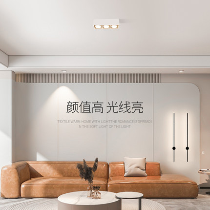 明装筒灯 极简客厅无主灯双头斗胆灯三头格栅led射灯免吊顶吸顶灯