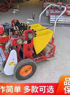 大蒜播种机农用电动手推汽油种蒜机蒜H头种植机精播机施肥覆膜机