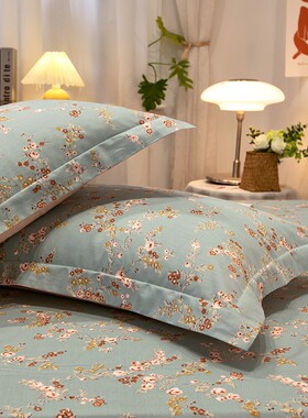 全棉枕套一对f装单枕套单品枕头套四季通用家用纯棉48*74cm1对枕