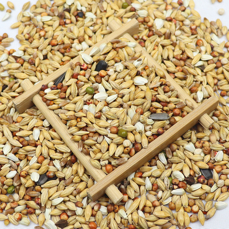 5斤装清除鸽粮饲n料信鸽换毛期专用幼鸽鸽粮鸟类鸟食