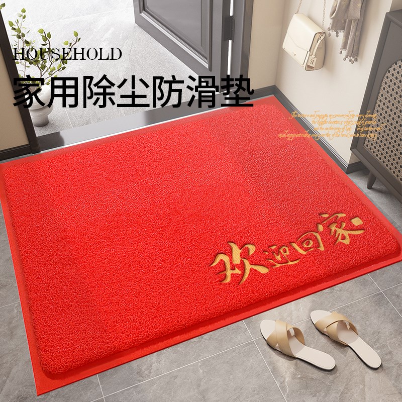 入户门地垫家用进门垫子大门口门z垫2025新款防滑免洗地毯丝圈脚