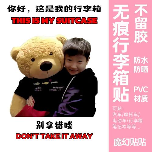莎头行李箱贴纸防丢防拿错t大号整张王楚钦孙颖莎行李箱标识牌贴