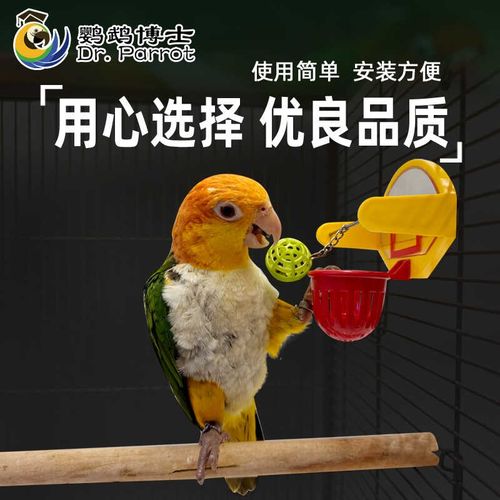 鹦鹉镜面篮球啃咬趣味玩具鸟用品娱乐解压解闷开发智力Y鸟磨嘴磨
