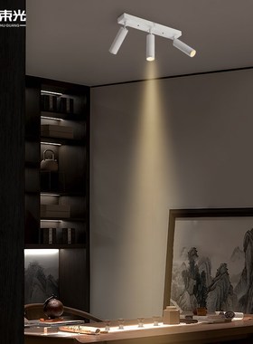 一束光聚光射灯四头明装客厅茶室艺术E饰品小酒馆氛围餐饮4头led