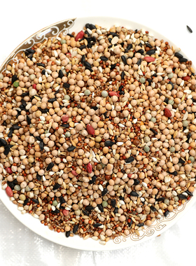 50斤2020新无玉米鸽子粮营养饲料鸟食信鸽N观赏鸽肉鸽幼鸽成鸽粮