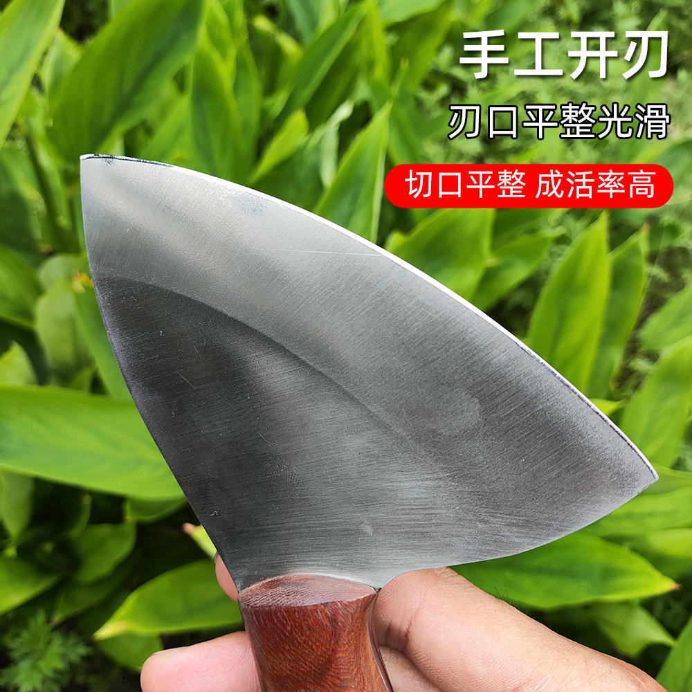 果树大树桩铲刀进口D2模具钢红檀手工嫁接刀硬度63园林嫁接工具