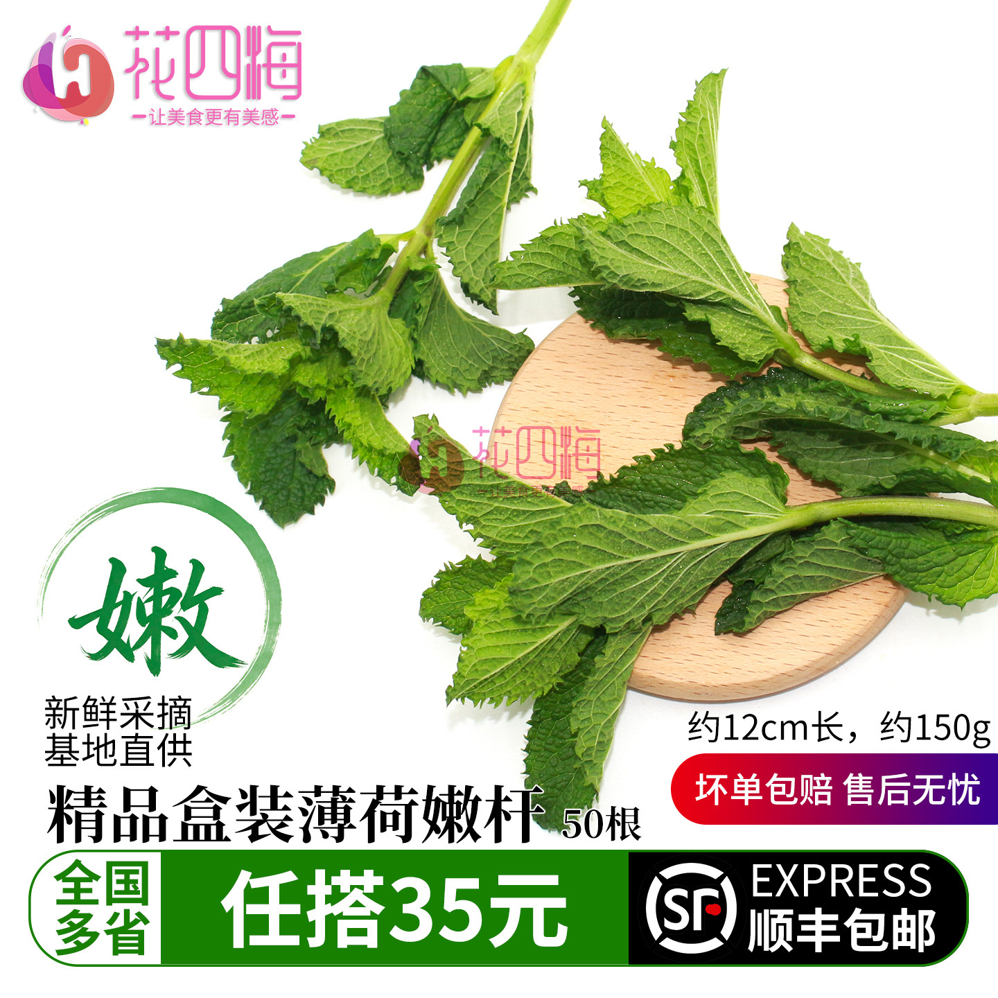 新鲜精品盒装薄荷嫩杆 留兰香薄荷 酒吧莫吉托调酒香料泡水烘焙用