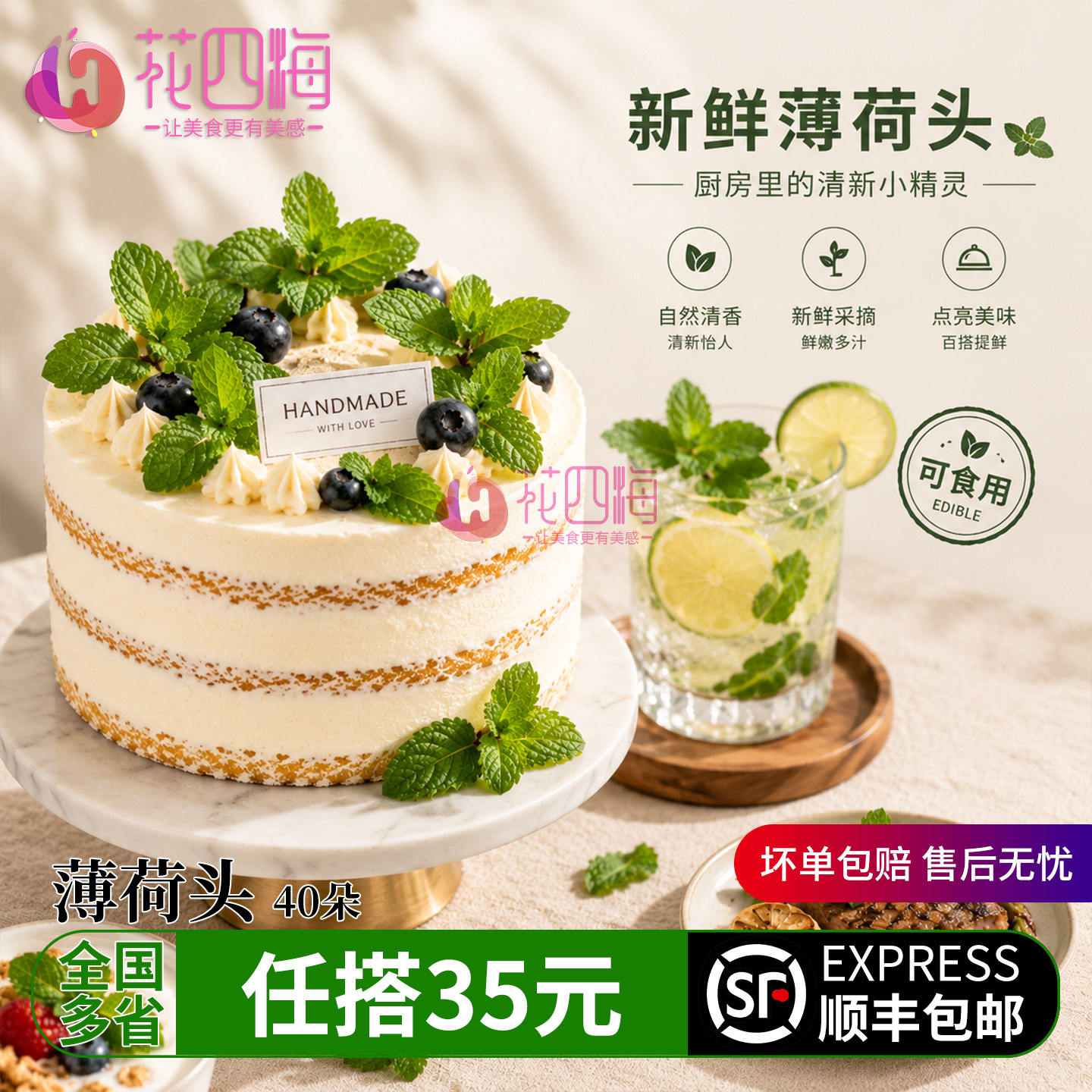 新鲜薄荷头 可食用留兰香 蛋糕装饰迷迭香莳萝荷兰芹玫瑰烘焙摆盘