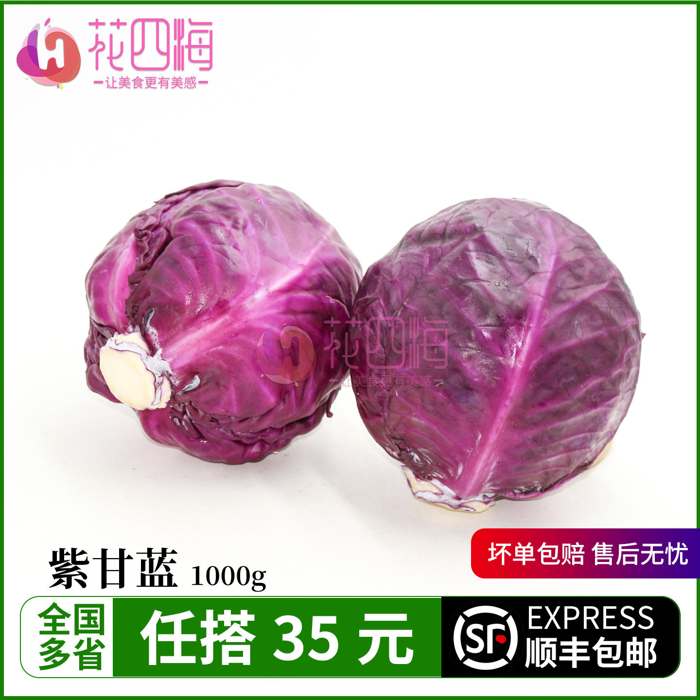 新鲜紫甘蓝1000g 紫包菜紫色球生菜轻食沙拉菜红椰菜凉拌西餐食材