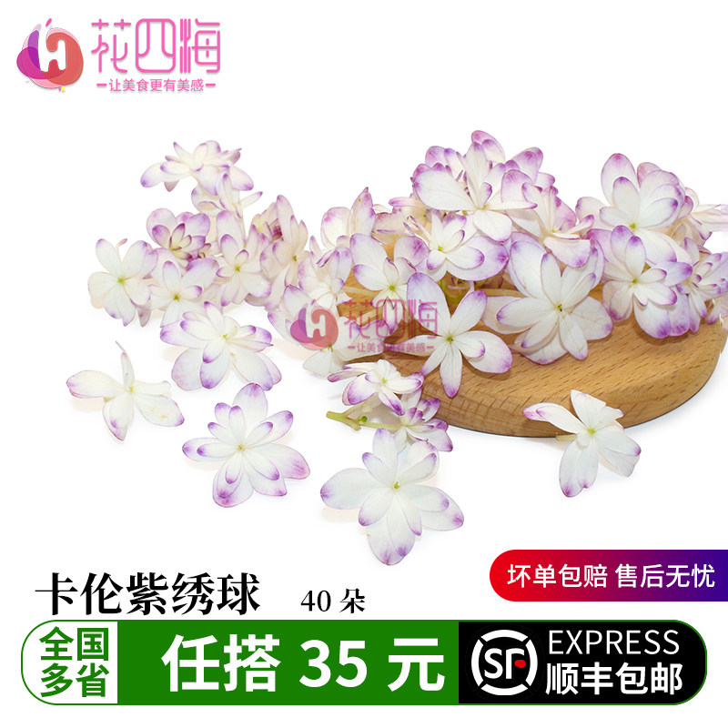 新鲜卡伦粉绣球 粉边绣球精灵 酒店西餐摆盘菜装饰餐饮摆盘鲜花草