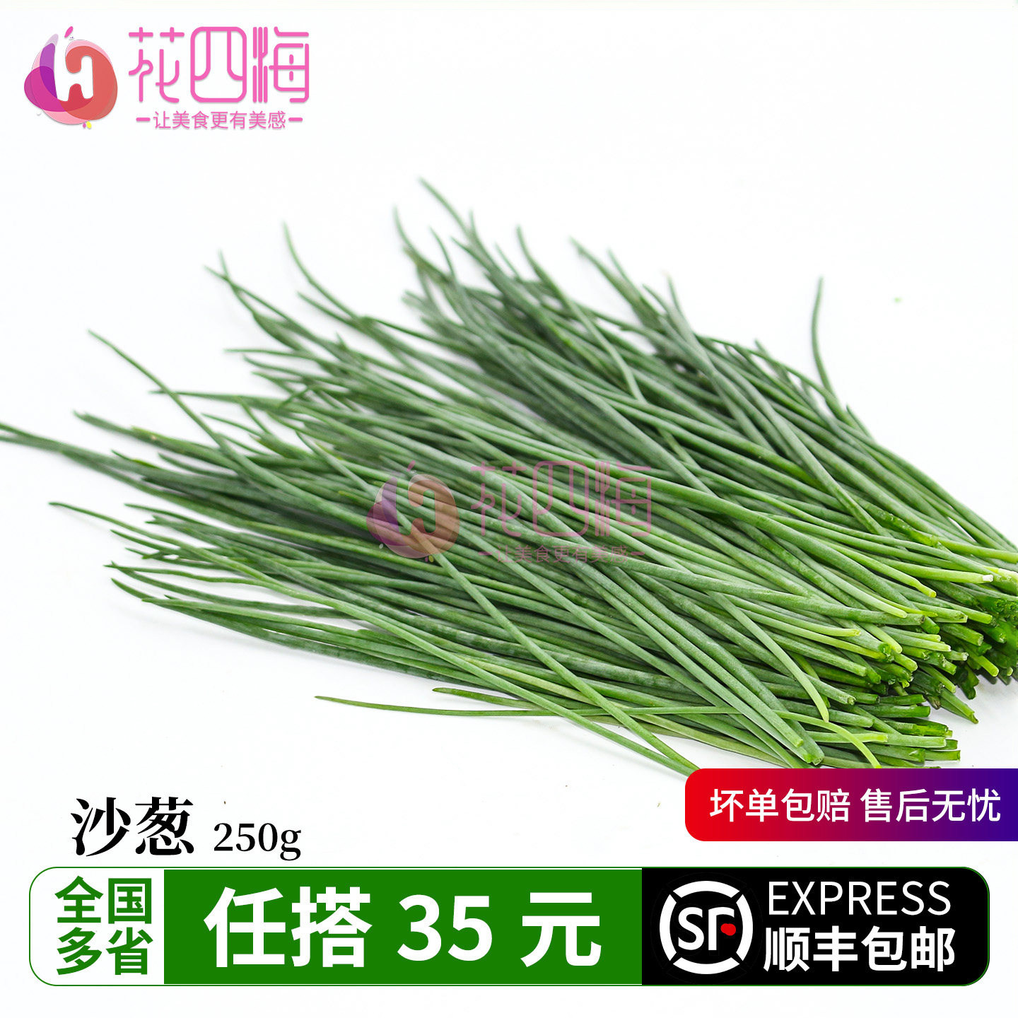 新鲜沙葱250g香葱 新鲜蔬菜 辛香脆爽美味可口野菜下饭菜现摘现发