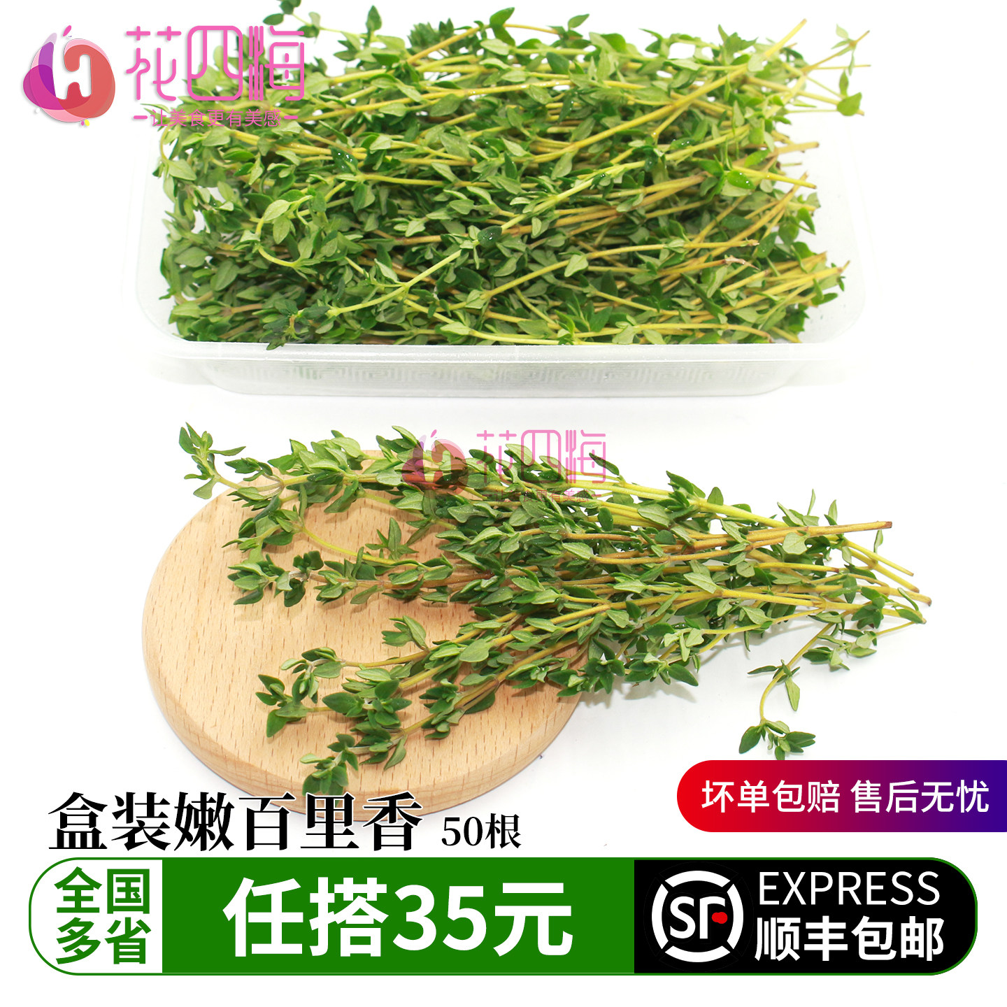 新鲜百里香 嫩绿 50根/盒 非迷迭香 西餐烘焙蛋糕鸡尾酒装饰花草