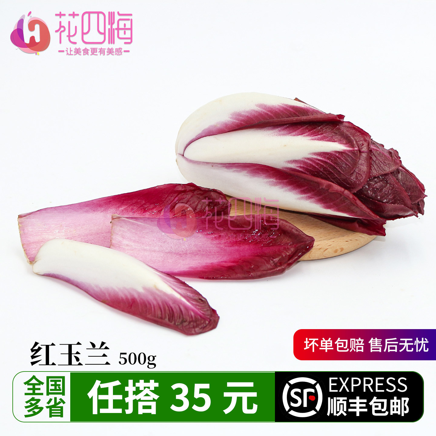 新鲜红玉兰菜500g 金玉兰苦白菜欧洲菊苣 比利时芽球沙拉蔬菜食材