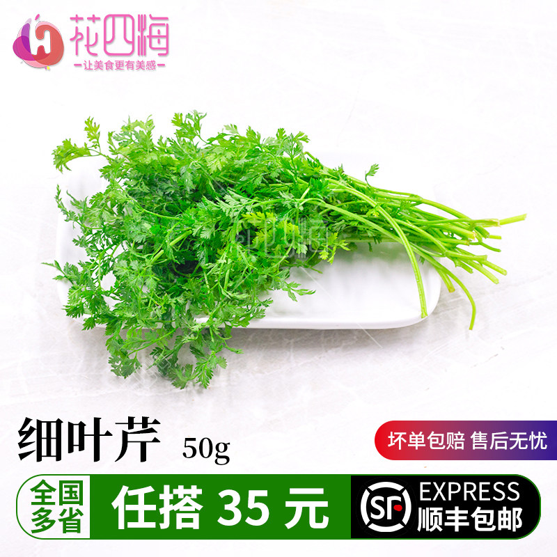 新鲜采摘细叶芹现采发货物美价廉